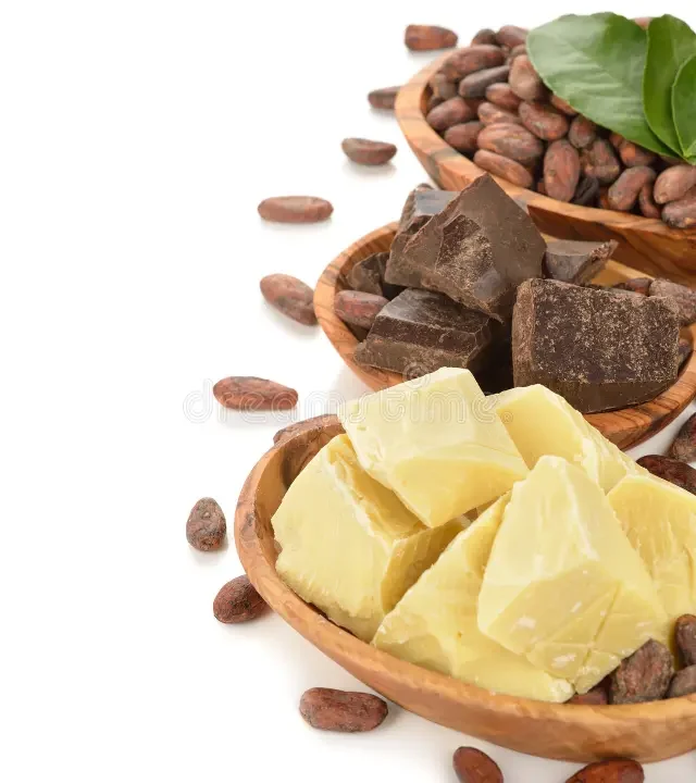cocoa beans cocoa butter cocoa mass white background 50586726 cocoa beans cocoa butter cocoa mass white background 50586726